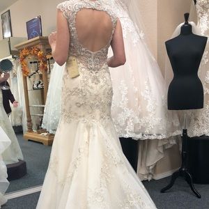 Casablanca Bridal “Hibiscus” Wedding Gown.